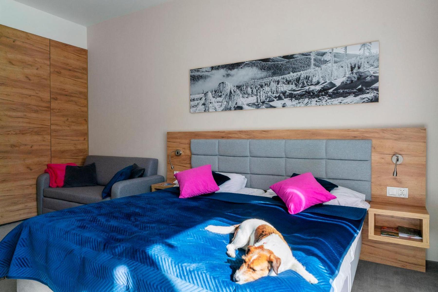 Apartament Folgaria - Aparthotel Panorama Czarna Gora 시에나 외부 사진